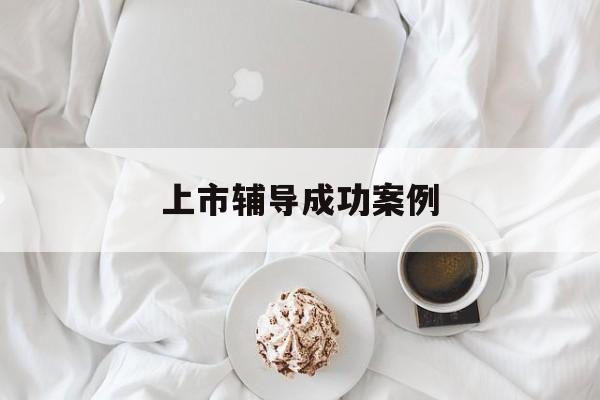 上市辅导成功案例(上市辅导成功后肯定会上市吗)邵阳市