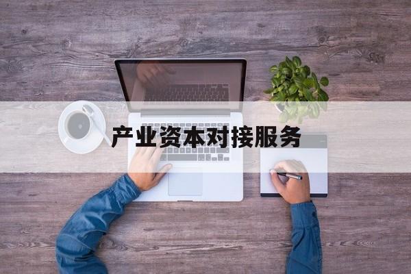产业资本对接服务(产业资本对接服务包括哪些)邵阳市